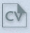 Online Resume